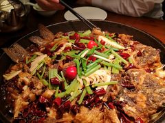 -老板恋上鱼(荣盛广场店)