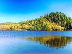 -五营红松林海景区