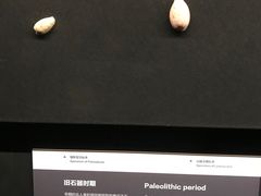 -深圳珠宝博物馆