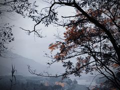 -都江堰景区
