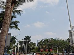 -万绿园