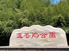 -莲花池公园