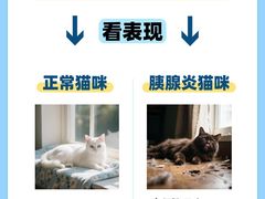 -哆趣宠物医院·眼科·内镜·急重症转诊中心(上海店)
