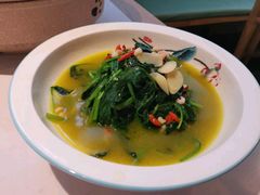 上汤菠菜-海岛渔村大酒店(云霄路店)