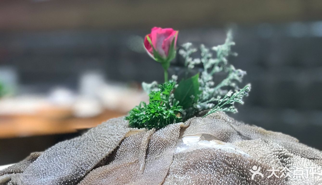 秋冬进补何时好？盛京初雪正当时。