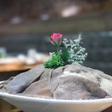 秋冬进补何时好？盛京初雪正当时。