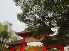 -四川大学(望江校区)