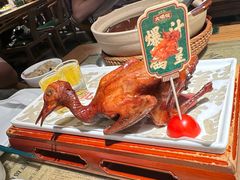 -大鸽饭(北京路店)