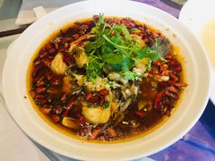 水煮珍珠龙趸鱼-金满楼(天河中路店)
