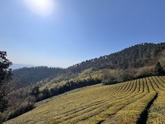 -敬亭山风景名胜区
