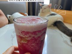 -喵园·猫主题咖啡厅·撸猫·猫咖(国贸店)