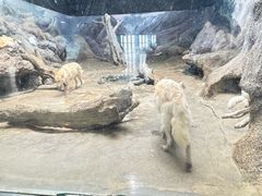 -西安曲江海洋极地公园
