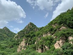 -大岭沟猕猴桃谷风景区