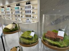 -théATRE 茶聚场(王府中環店)