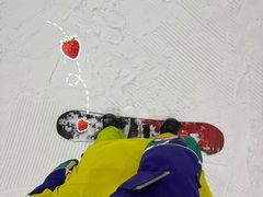 -哈尔滨热雪奇迹
