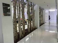-极简口腔(总院)