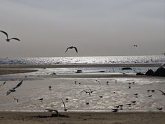 -老虎石海上公园