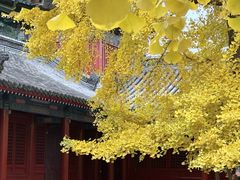 -承恩寺