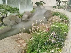 -罗红摄影艺术馆