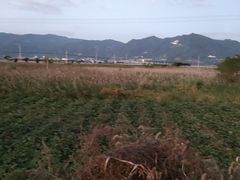 -北岐滩涂