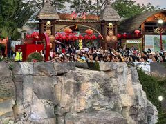 -三亚红色娘子军演艺公园景区