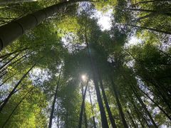 -鸡枕山