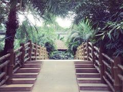 iphone_upload_pic-龙达温泉生态城