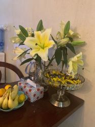 -唯伊美塑身美养连锁