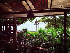 -卷心菜和避孕套餐厅(Pattaya)