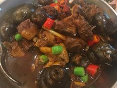 田螺塞肉烧土鸡-苏苑饭店-中餐厅(长桥地区店)