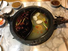 -杨家火锅(国美店)