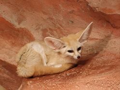 -Zoolung Zoolung动物主题公园(海信广场店)