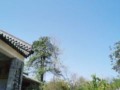 -广州神农草堂中医药博物馆