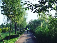 -白鹭湾湿地公园