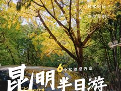 -昆明老街