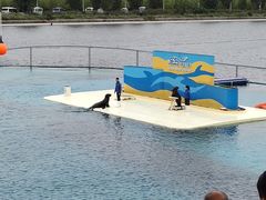 -秦皇岛乐岛海洋王国