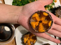 马粪海胆-海胆小馆(东北水饺·春柳店)