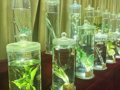 -广东药科大学(广州校区大学城校园)