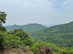 -九曜山