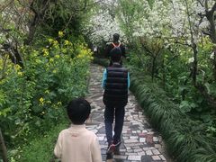 -南汇桃花村