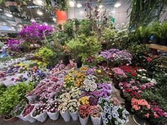 -双季花艺园艺市场(浦东店)