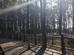 -艾溪湖湿地公园