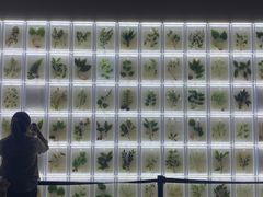 -广东中医药博物馆