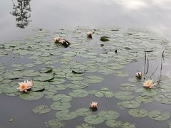 -白鹭湾湿地公园