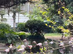 -九龙公园