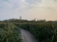 -永定河休闲森林公园