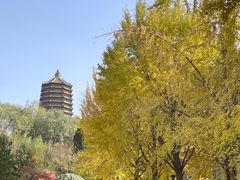 -玲珑塔公园