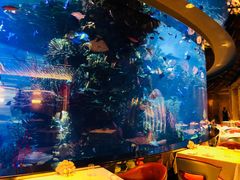 -迪拜帆船酒店海底餐厅