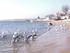 -老虎石海上公园