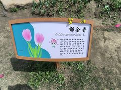-径山花海